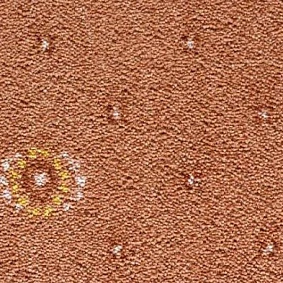  Condor Carpets Australia 233