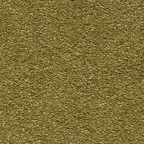  Associated Weavers Scorpius 21