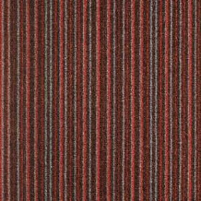  Balsan Baya 170