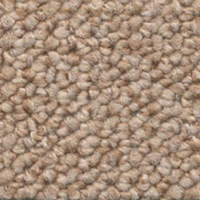  Dura Loop