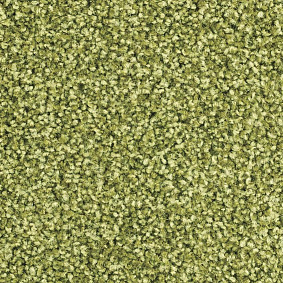  Balsan Script