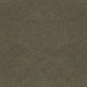  Desso Asteranne 2941