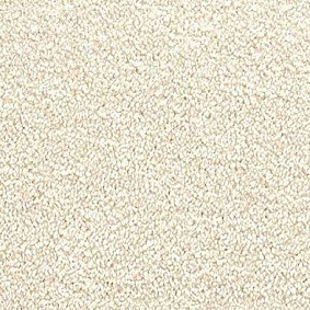  Vorwerk Passion 1001