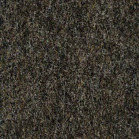 4202 2