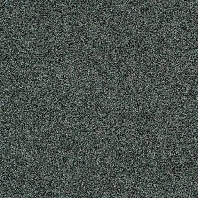  Interface Polichrome Stipple 4265003 Caviar