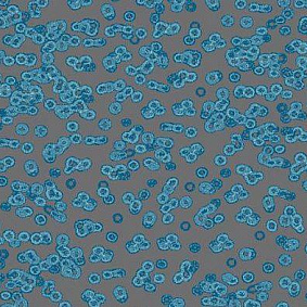  Forbo Flotex Sottsass Bacteria