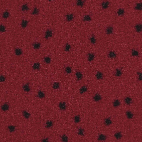  Balsan Constellation