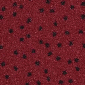  Balsan Constellation 560