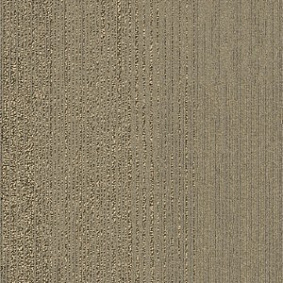  Interface Pietra Coll San Roco