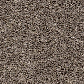 Best Wool