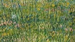 Ковролин Flotex Vision Pattern 941 Van Gogh Patch Of Grass