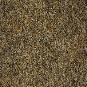  1202