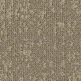  Desso1 Desso Airmaster Tones 1311