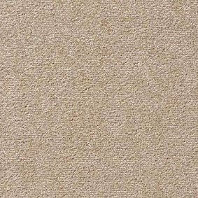  Vorwerk Passion 1004