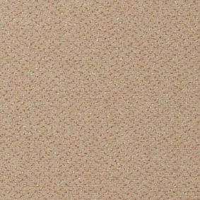  Vorwerk Passion 1006