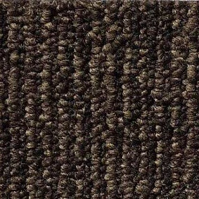  Ruscarpettiles Rct Peru 7793