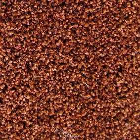  Tapibel 45538