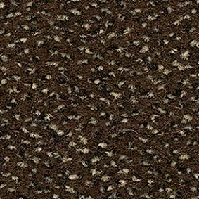 Balsan1 Balsan Zenith