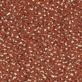  Balsan Equinoxe Confort 445 Ecureuil