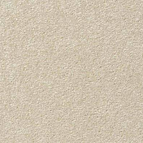  Vorwerk Passion 1004