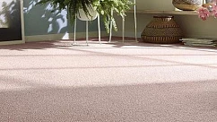Ковролин Vorwerk Essential 1008 Vorwerk 1m34