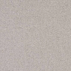  Interface 304934