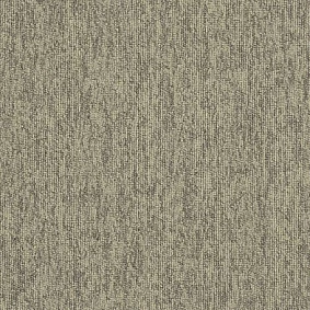  Interface New Horizons Ii 5584 Chameleon