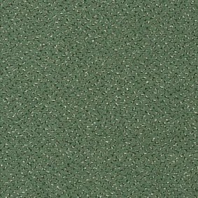  Vorwerk Passion 1006