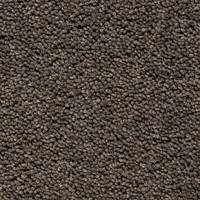  Best Wool