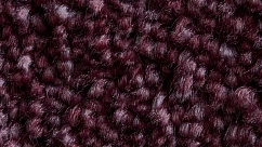 Ковролин Associated Weavers Fedone 19