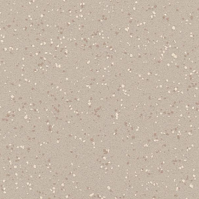  Polyflor Polysafe Verona Pur