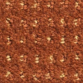  Balsan 469 Chicoree