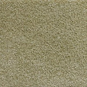  Radici Lord Lime 245c