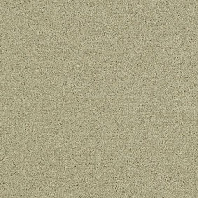  Interface Polichrome Solid