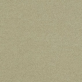  Interface Polichrome Solid 4266017 Turtledove