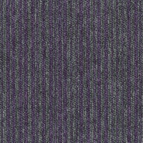  Desso1 Essence Stripe
