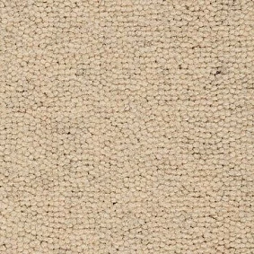  Best Wool Nature Berlin 104