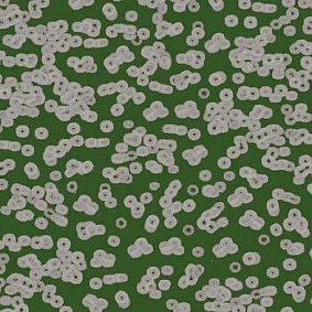  Forbo Flotex Sottsass Bacteria 990403