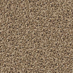  Desso1 Desso Twist