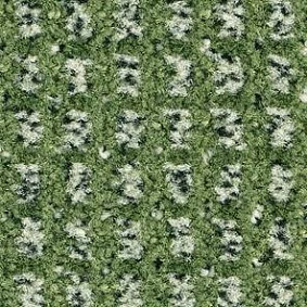  Balsan 240 Maquis