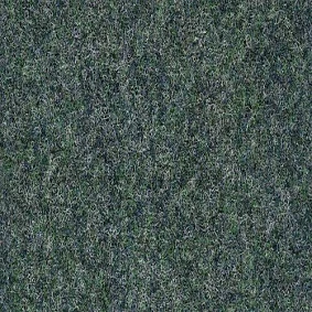  6802