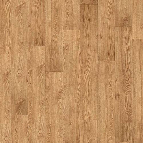  Armstrong5