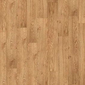  Armstrong5 Scala 100 Pur Wood 25015 140