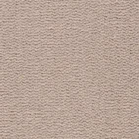  Best Wool Tasman