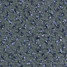  Balsan1