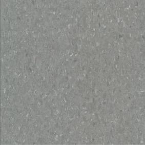  Armstrong2 Armstrong Medintone 885 305
