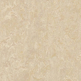  Forbo Marmoleum Marbled Fresco