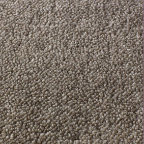  Jacaranda Carpets Rajgarh