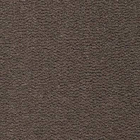  Best Wool
