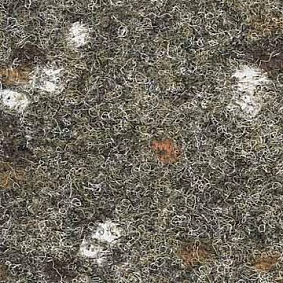  1450